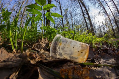 Artikelbild Biologisch abbaubar, kompostierbar und biobasiert: Was steckt wirklich hinter diesen Begriffen?