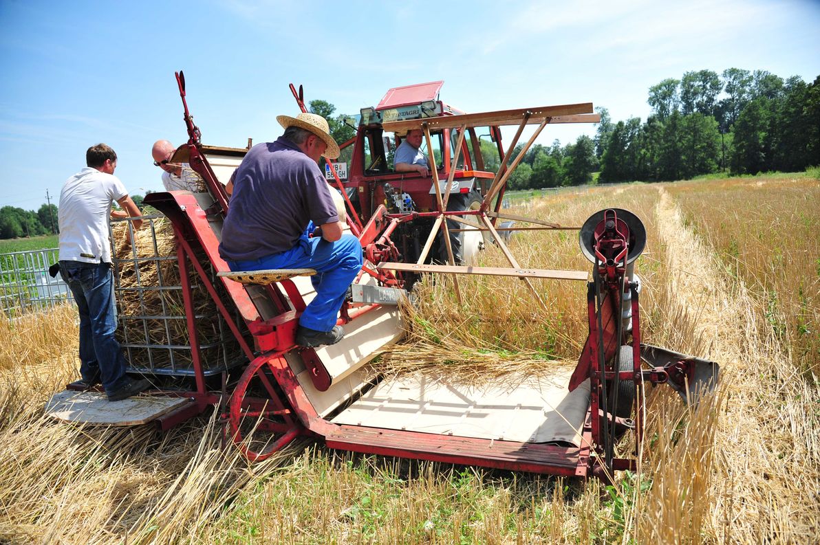 Maehmaschine-Stroh-fuer-Web